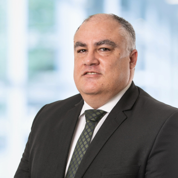 Idalécio Pacheco Algarvio, Manager / Audit